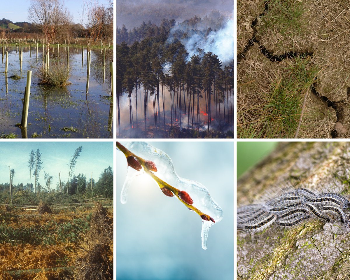 It's your final opportunity to participate in our short survey about the #ClimateChangeHub, which closes 31 Jan! Your views are important as we continue to develop climate change guidance and resources. Access the survey here:  defragroup.eu.qualtrics.com/jfe/form/SV_db…