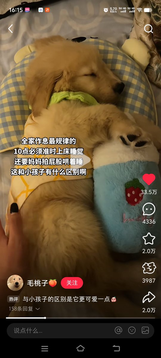 so cute!