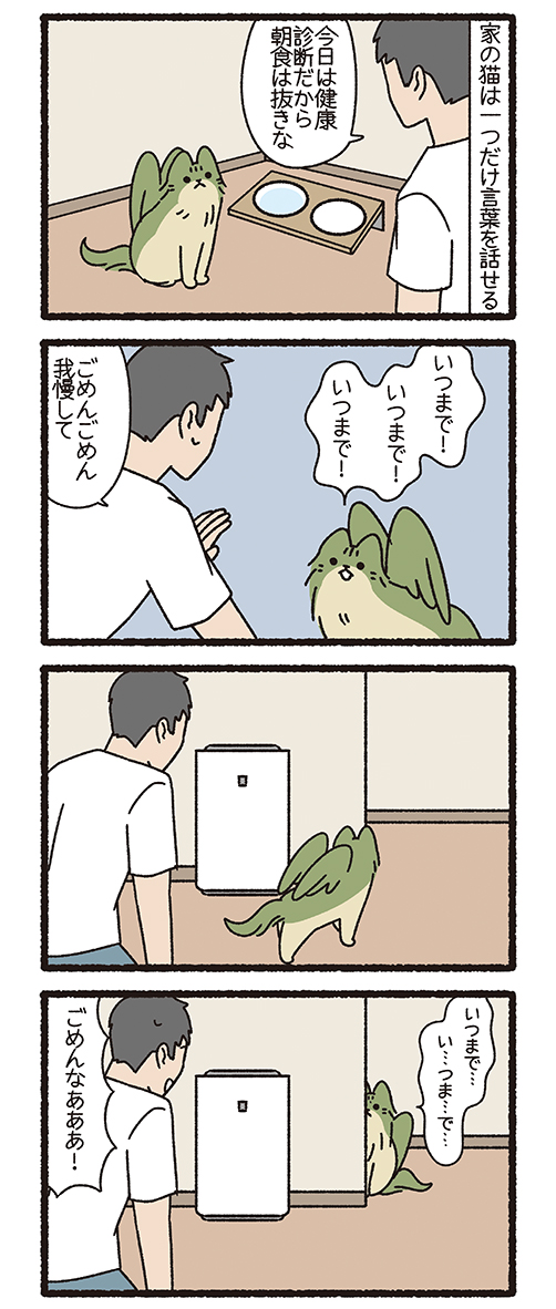 ねこようかい いつまで(3/3) 