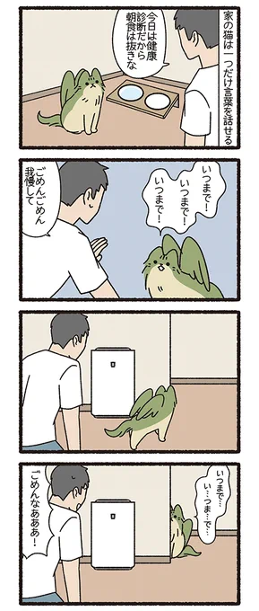 ねこようかい いつまで(3/3) 