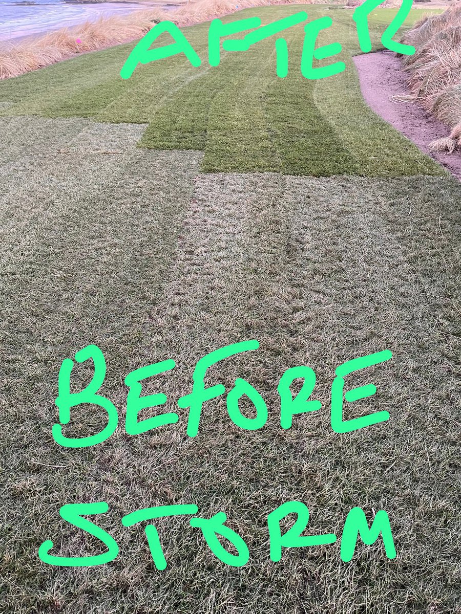 Darren McLaughlan tweet media