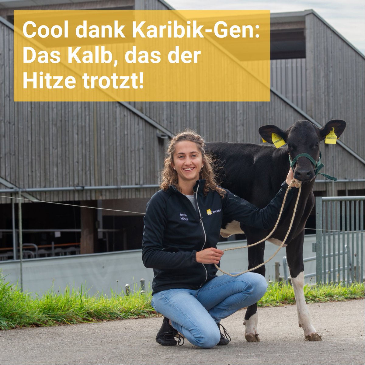 swiss-food.ch tweet media