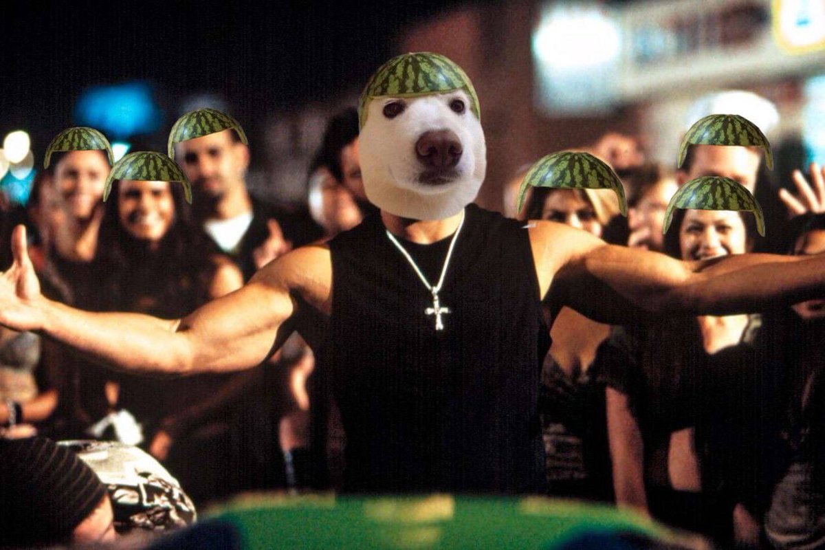 <a href="/gordongekko/"></a> $MELON has got my full attention