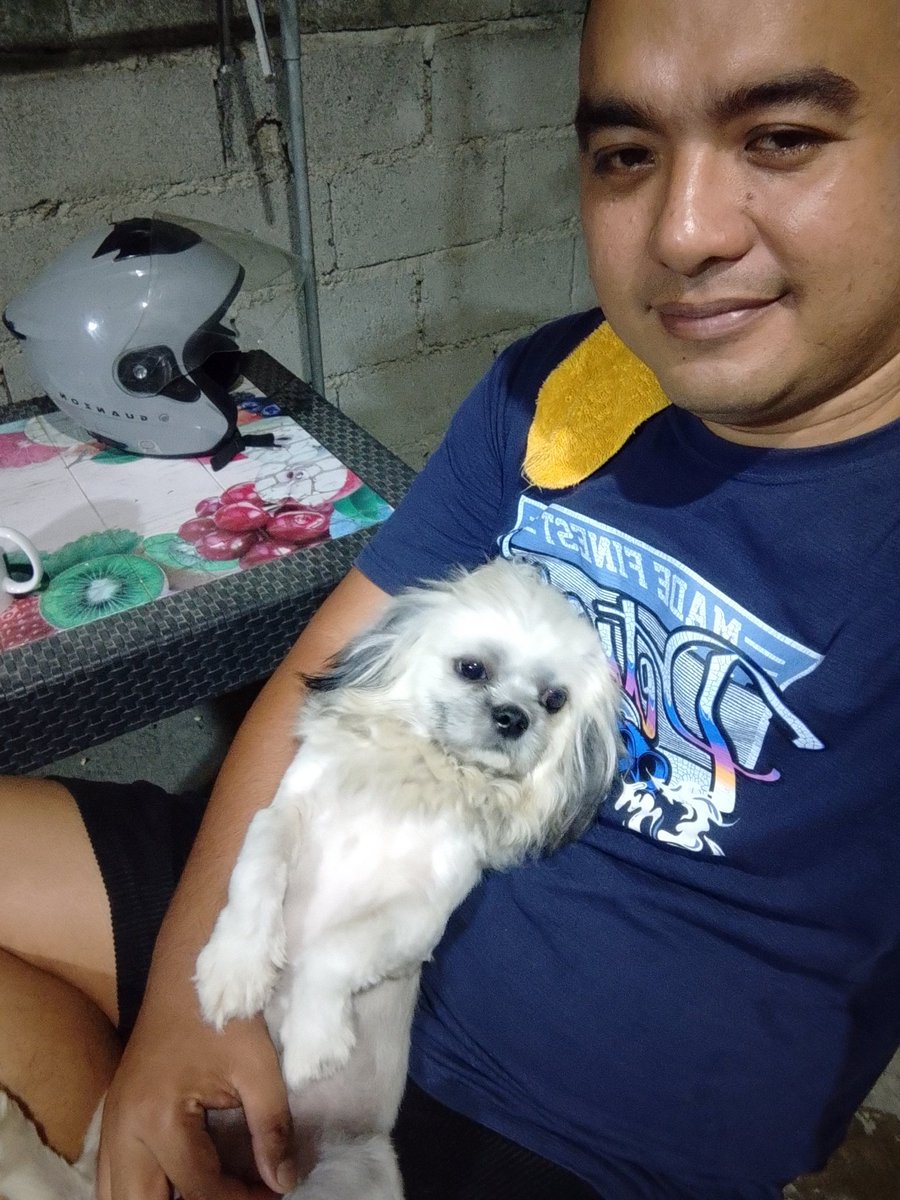 BugarinJaybee's tweet photo. Dogs https://t.co/xPptIxAt7Q