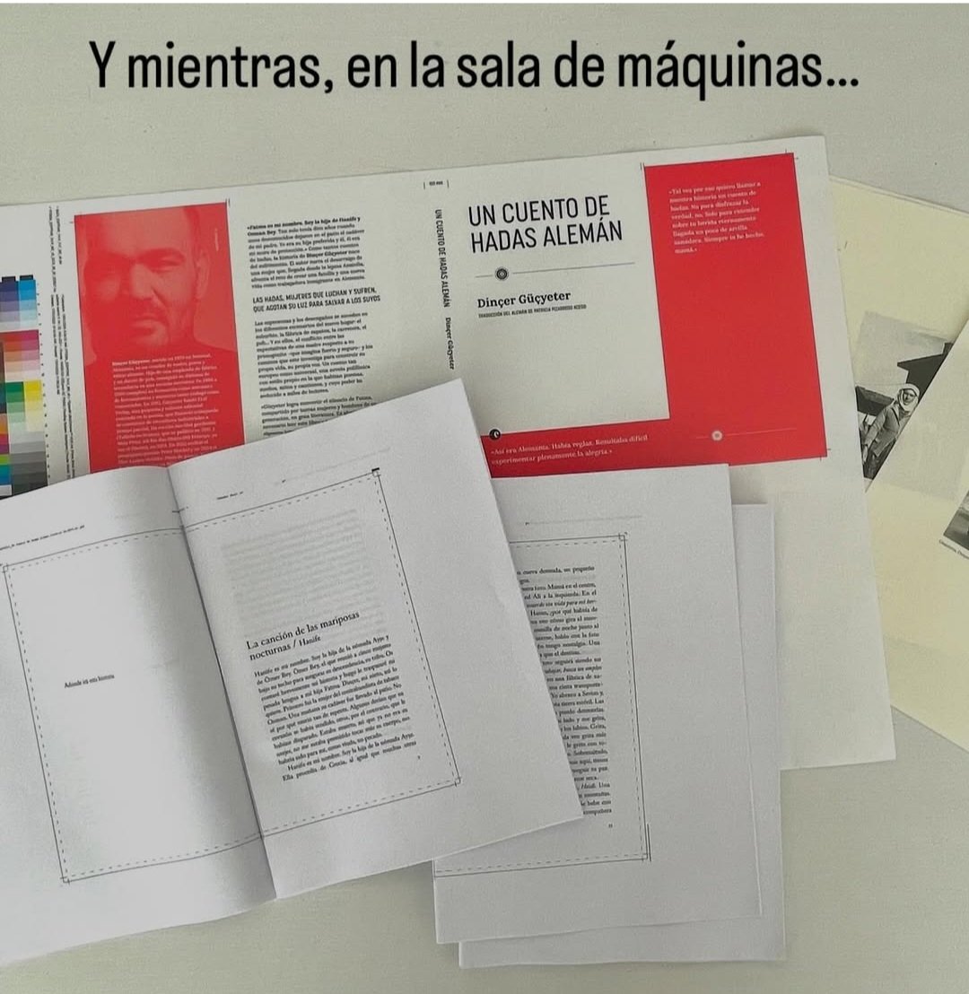 Patripizarroso's tweet photo. Deseando que salga a la venta mi nueva traducción para Deleste: la novela "Un cuento de hadas alemán" del escritor turcoalemán @dincergcyeter.

Una historia polifónica sobre una familia de Anatolia que emigra a Alemania.

Aquí el enlace al libro 🤓📚: https://t.co/UzIEwct79E https://t.co/RKI4aWv4jC
