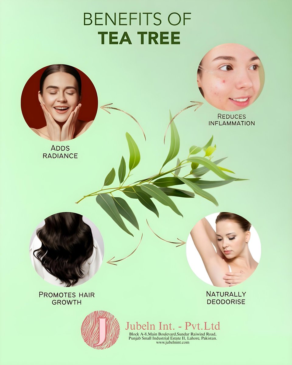JUBELNNEWS's tweet photo. Tea tree oil, also known as melaleuca oil, is an essential oil that comes from steaming the leaves of the Australian tea tree. When used topically, tea tree oil is believed to be antibacterial. 
 #personalcare #beauty #jubelninternational #cosmetics #teatreeoil https://t.co/IuGkynztJG