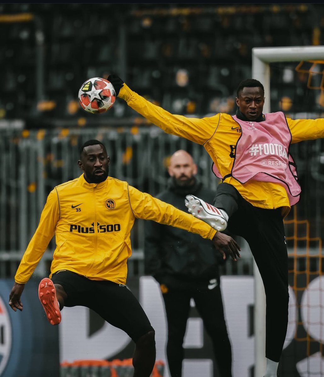 sylinational_FR's tweet photo. Le ยซย Guerrero Matรฉ ๐ง ยป Mohamed Ali Camara lors de lโentraรฎnement des Young Boys de Berne ce mardi, veille de match face ร lโรฉtoile rouge de Belgrade. ๐๐พ๐๐พ
Dโores & dรฉjร condamnรฉ, les suisses tenteront de sauver lโhonneur devant leur public.
#UCL #YB
#bscyb #ybforever #gcyb https://t.co/wt6anPqCq1