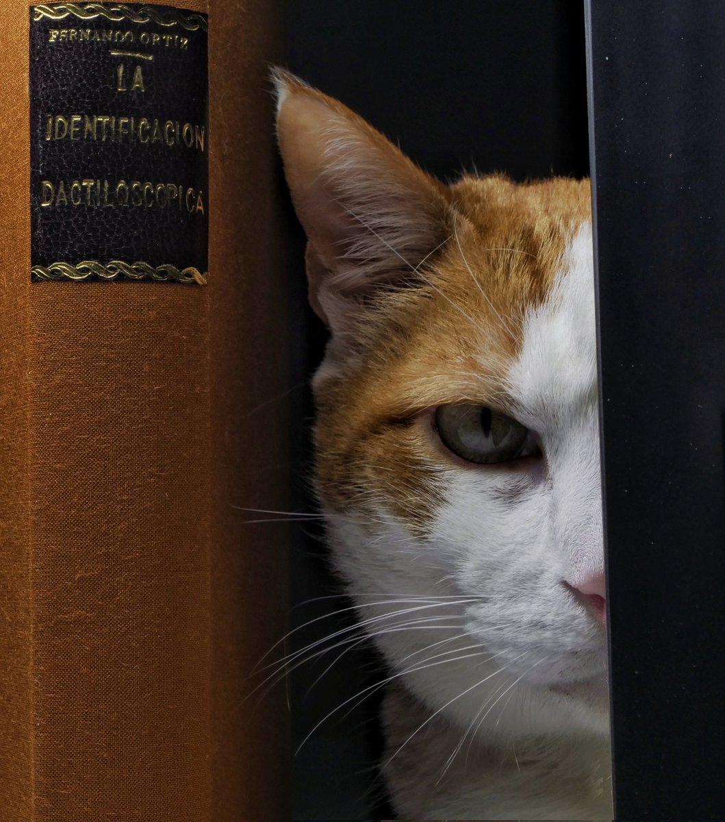 science_ser's tweet photo. Watchcat of #oldbooks about #fingerprints and #forensics 😺
#dactiloscopia #identification #cat https://t.co/Jz1IF8ui8b