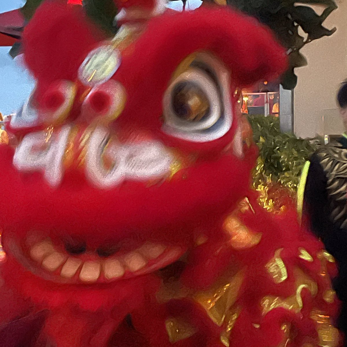 SeagullRichard's tweet image. The dragon came by…
#lucky
#goodluck
#touchedthedragon