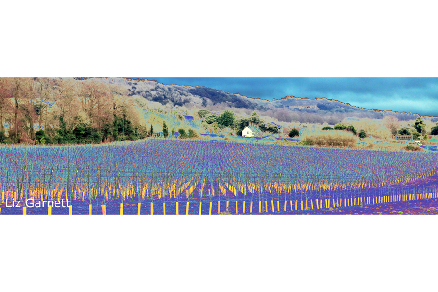 I am just sorting out my shop on ko-fi and this image brings back fond memories of <a href="/art_pilgrimage/">A Creative Pilgrimage</a> as we followed the @augustinecamino across Kent. Here is the vineyard at Boxley on <a href="/KentDownsNL/">Kent Downs National Landscape</a> 

ko-fi.com/s/86759c1fd5

#kent #boxley