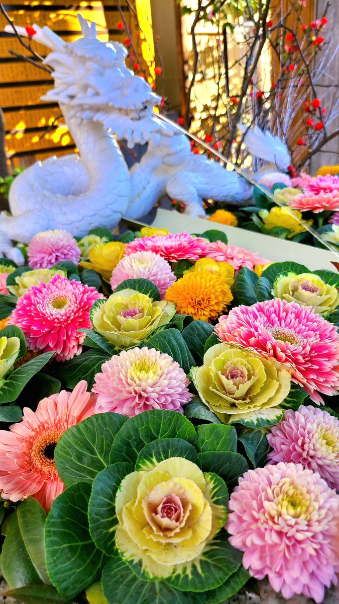 impuls999's tweet photo. 好きな神社に初詣⛩
手水舎に花が彩られて綺麗だったので
スマホでΣp[【◎】]ω･´)ﾊﾟｼｬﾘ✧

#初詣 
#華手水 
#田無神社 https://t.co/fiYINT72lA