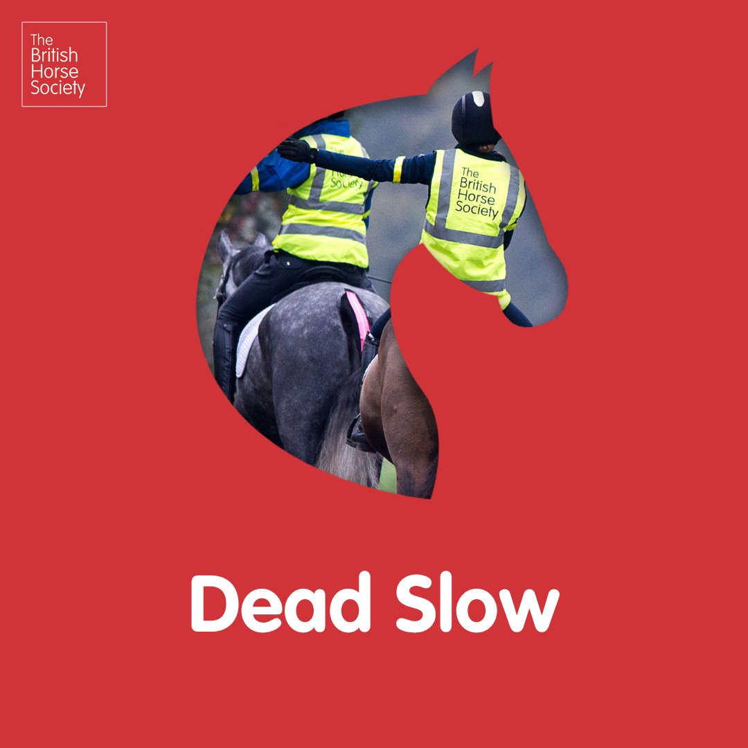 On this day three years ago, the Highway Code was updated and our Dead Slow messaging was incorporated.

Learn more 👉 bit.ly/3chD7HA

#KeepBritainRiding