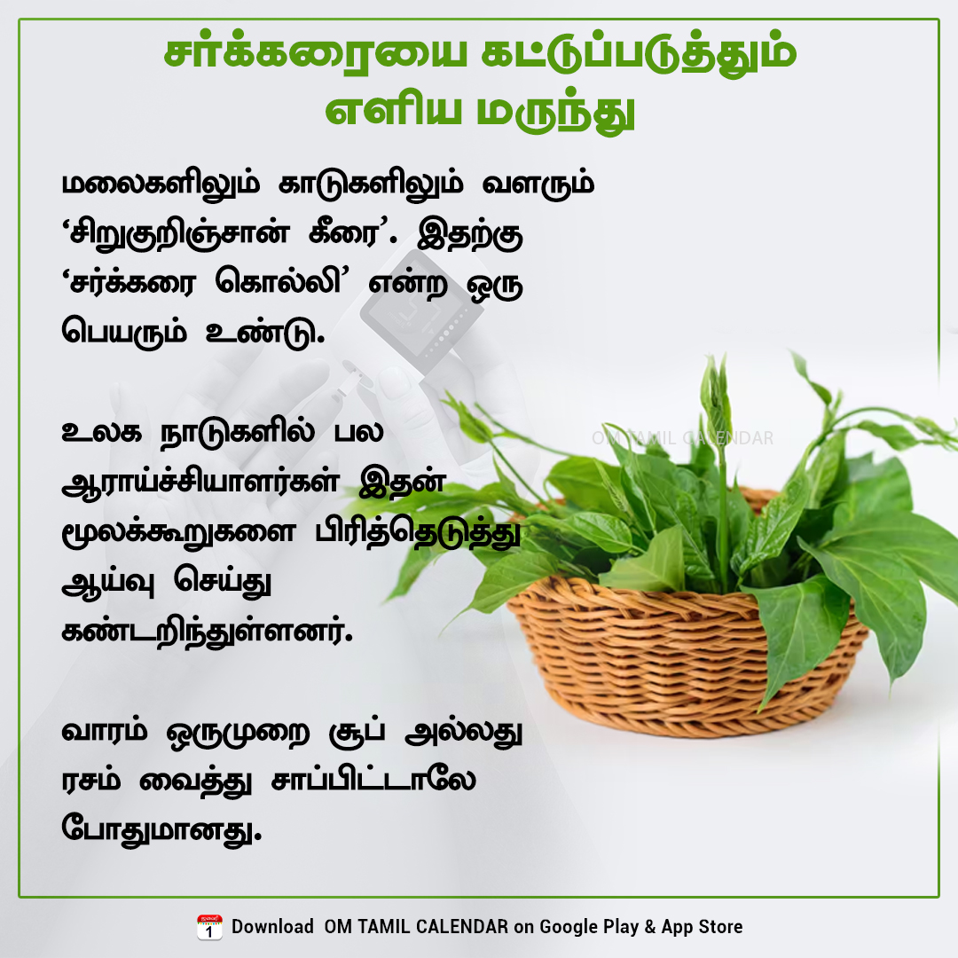 OmTamilCalendar's tweet image. சர்க்கரையை கட்டுப்படுத்தும் இயற்கை மருந்து! 🍃💚

📲 இன்னும் பல ஆரோக்கிய குறிப்புகள் பெற,   ஆப்பைப் பதிவிறக்கவும்! 
👉 bit.ly/otc_twitter

#sugarcontrol #herbalremedies #diabetesfood #siddhamedicine #tamilherbs #omtamilcalendar #tamilhealthtips
