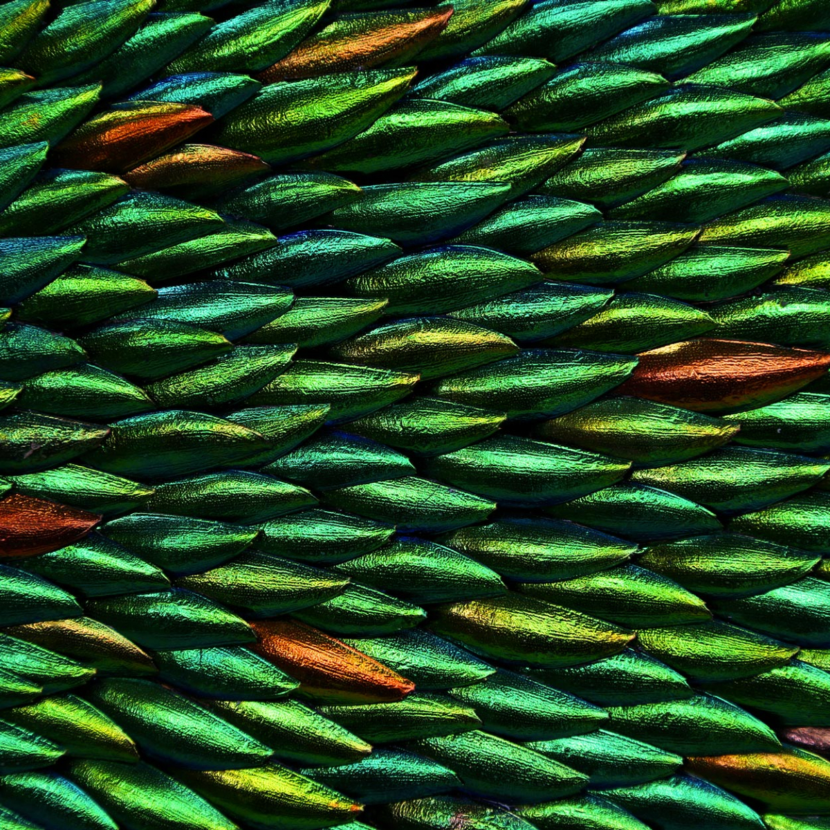 CuratedStudio tweet media