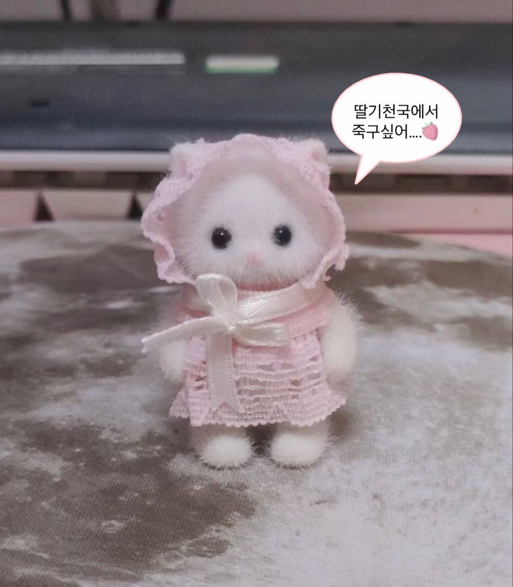 LeeHanheeFeed 🍓 tweet media