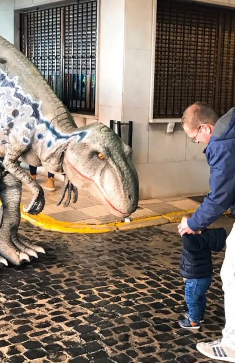 AmanecerEvents's tweet photo. Mercado Jurásico para toda la familia, 4 dinosaurios y muchas actividades originales,Te lo vas a perder?,@AmanecerEvents,@PalenciaTurismo,@Ayto_Valdemoro https://t.co/8uihXQJLMX