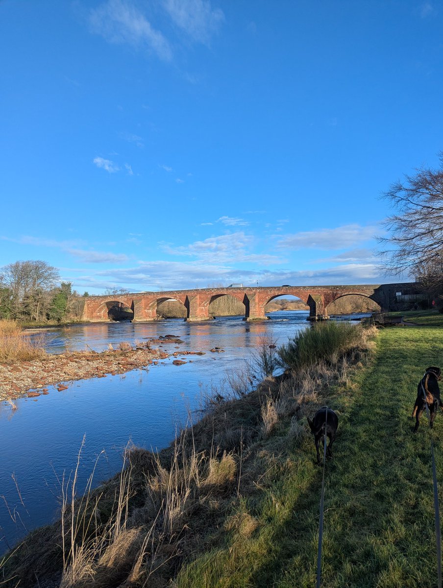 NotBadForHerAge's tweet photo. A gorgeous blue sky morning & a walk somewhere new with the dogs. I may have laughed when Damson tried to tip-toe into the river & instead fell in π
ππΎπΎ #cleandog #Damson #Dobermann #Fred #Cumbria https://t.co/BdJc7C5V8r