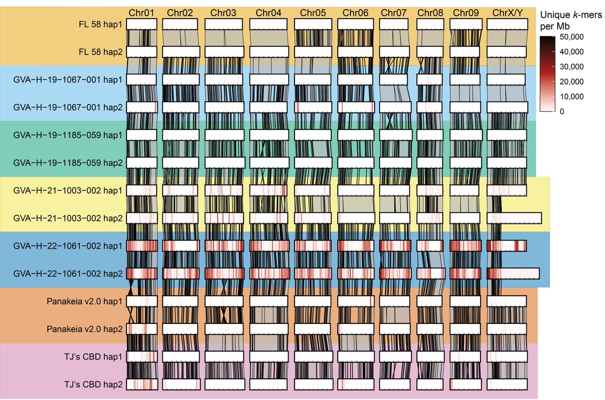 George Stack tweet media
