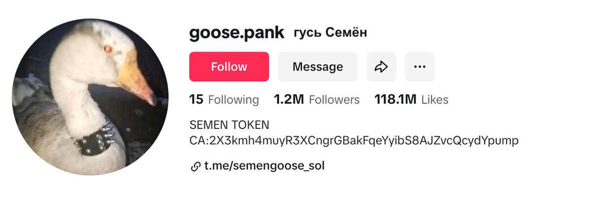 The Most Viral Goose On TikTok | SEMEN tweet media