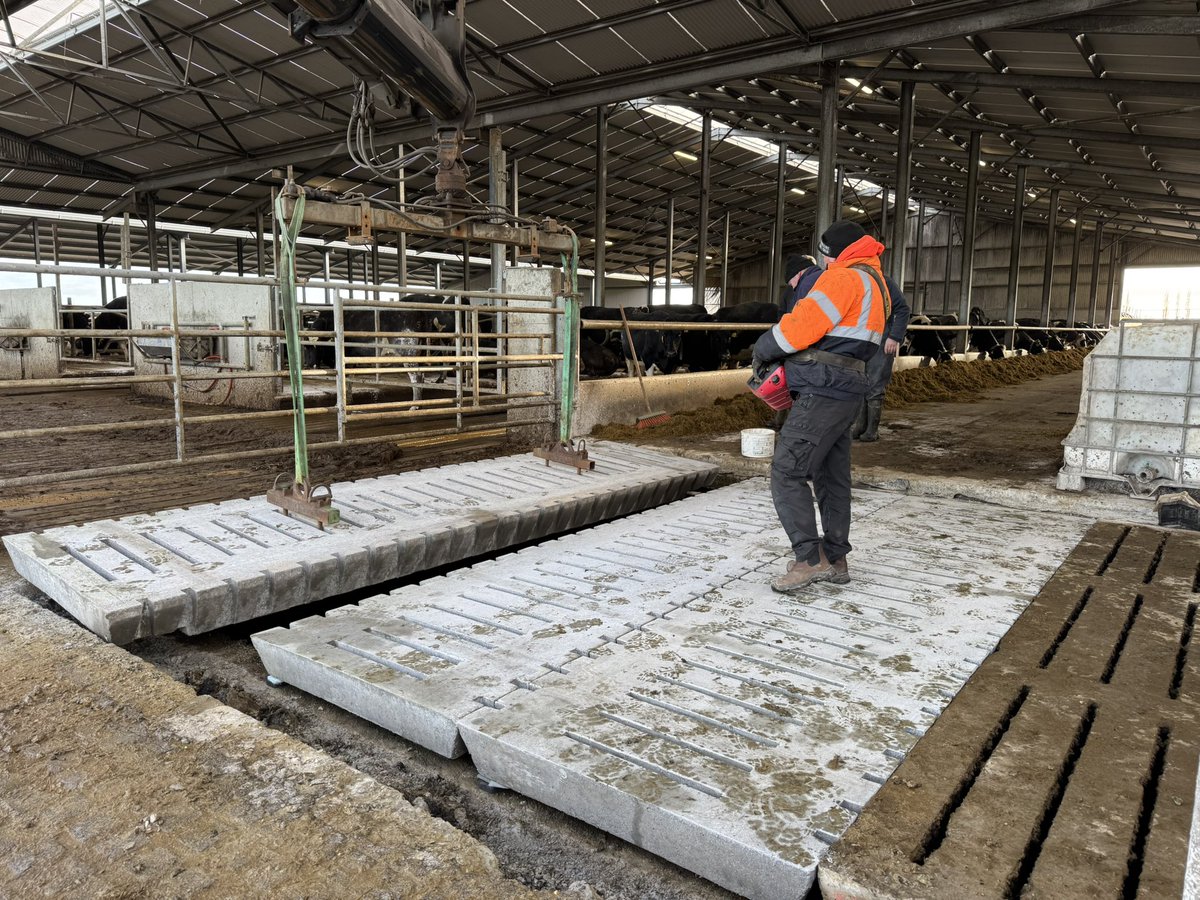 A few from before dinner.