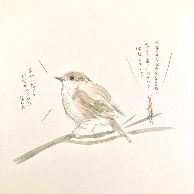 ジョウビタキとバッタ。 