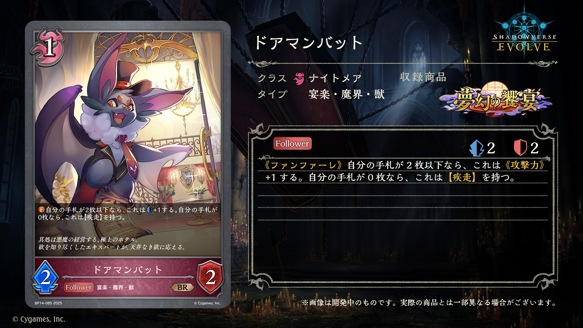 シャドウバースエボルブ　引退品 20220759.jpg