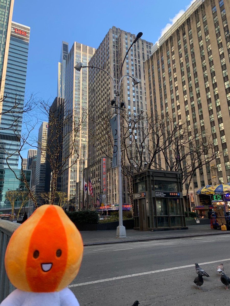 kitamitamanegi's tweet image. きーたん王子ニューヨークへ行く
#kitan
#きーたん
＃北見たまねぎ
#北見
#NewYork 
#ニューヨーク
＃合成じゃない