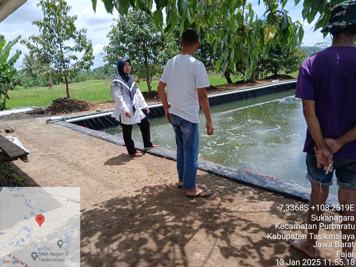 EvaRavela's tweet photo. Senin (13/01/25), Eva Ravela NS, Luhkan Kota Tasikmalaya, di Pokdakan Fajar, Kel. Sukanagara, pembinaan dan  panen  ikan nila, sebanyak 150 kg, uk 5 ek/kg, harga 25 rb/kg
#GiatLuhkanSatminkalBogor #KtTasik #Panen #luhlapor
@pusluh_bppsdm @brpbatpp_bogor  @bppsdm_kp @kkpgoid https://t.co/PmGSBNoCnI