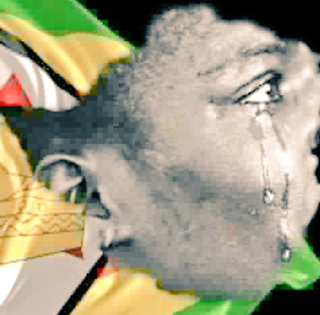 Linda Tsungirirai Masarira tweet media