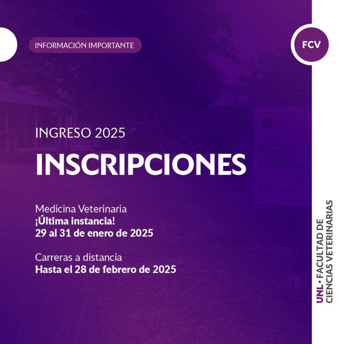 ¡Atención! Última instancia de inscripción a Medicina Veterinaria.
