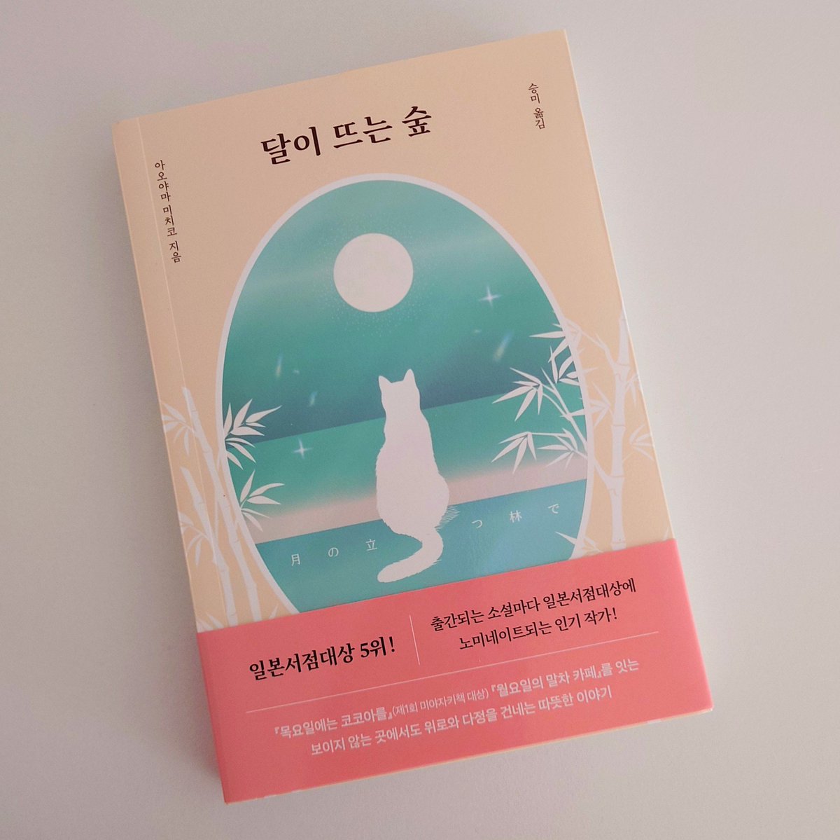 月の立つ林で』韓国版です。表紙のキラキラ感、わかるかな✨すごく