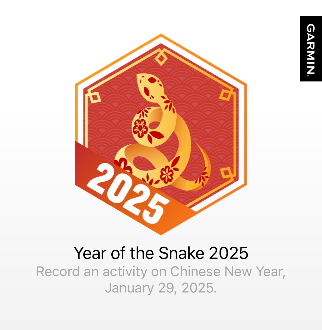 I earned a badge on Garmin Connect. #beatyesterday #garmin #milesformike. Still dealing with a sore Shin. I took Poncho and Bosco for a long walk this morning. I’m starting to think maybe it’s a IT Band issue. Never had trouble with this type injury, any advice out there?