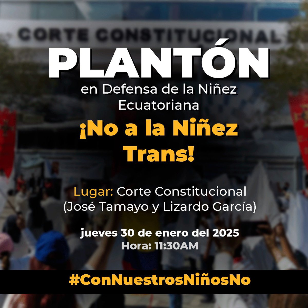 _FamiliaEcuador's tweet photo. Mañana jueves!! Varias ciudades se manifiestan en defensa de nuestros niños 💪🏼

📍 Quito
📍 Carchi
📍 Loja 

¿Vives en una de estas ciudades? ¡ÚNETE! Es momento de salir a las calles‼️
#ConNuestrosNiñosNO
#ConLosNiñosNO 🫸🏽 https://t.co/m9V8v2tXx6