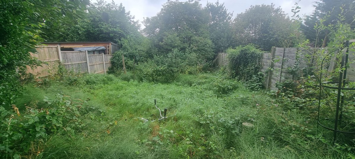 Spring Forward Landscaping Ltd tweet media