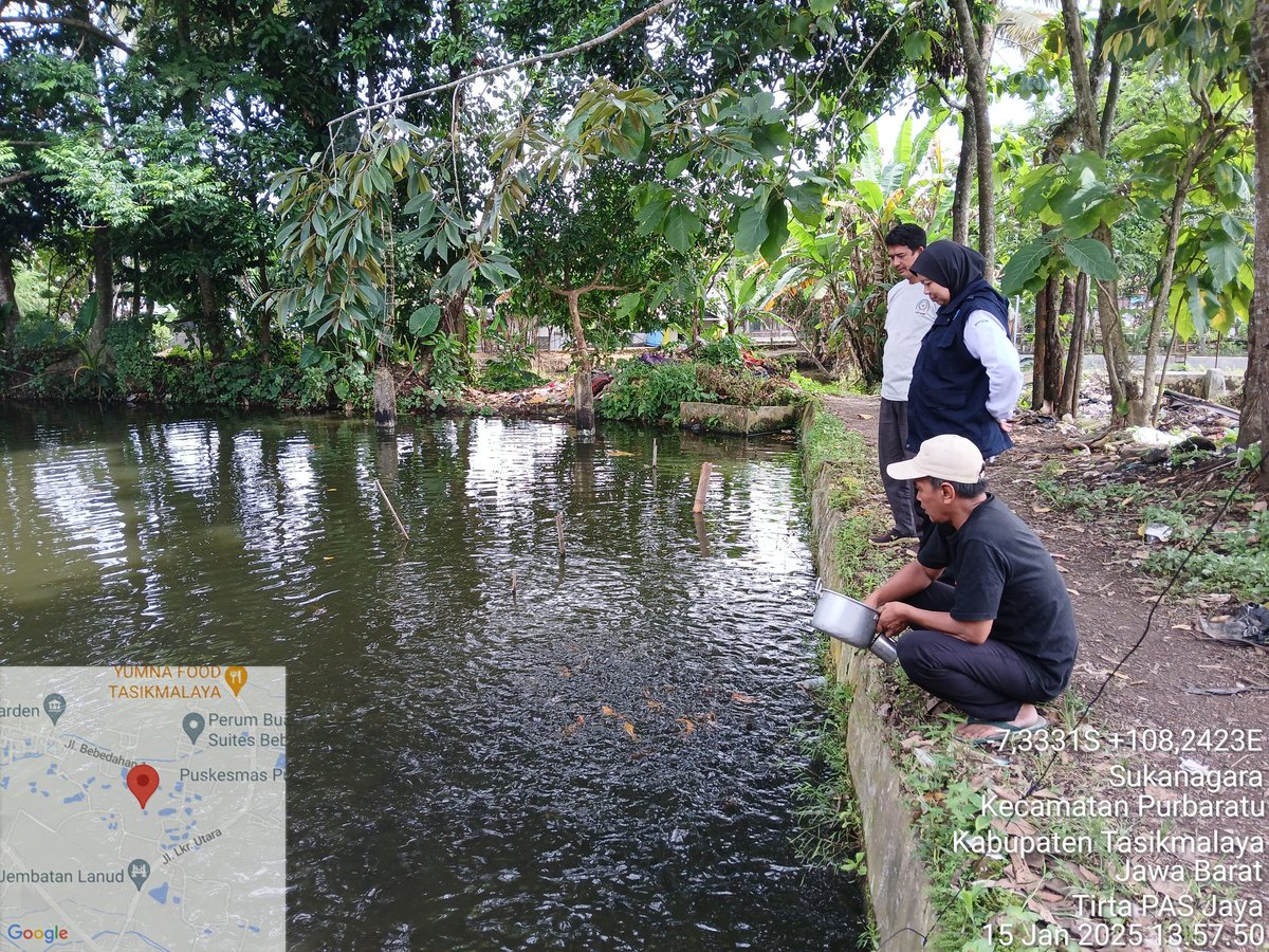 EvaRavela's tweet photo. Rabu(15/01/25), Eva Ravela NS, Luhkan Kota Tasikmalaya, di Pokdakan Tirta PAS Jaya, Kel. Sukanagara,  Pembinaan teknis dan Sosialisasi Peraturan KP
#GiatLuhkanSatminkalBogor
#Aktivitas  #KtTasik #luhlapor
@bppsdm_kp  @pusluh_bppsdm
@brpbatpp_bogor https://t.co/T0KVRFqeDI