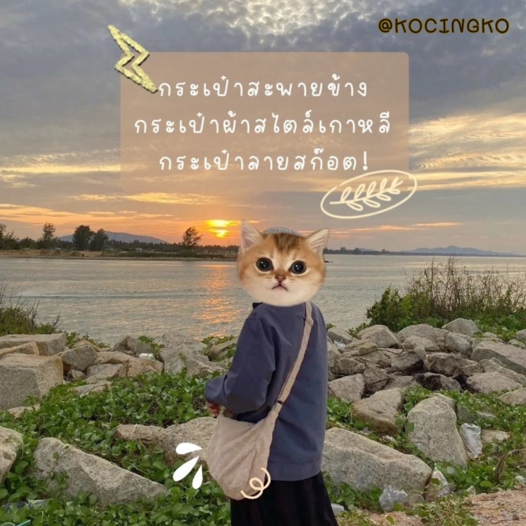kocingko's tweet photo. กระเป๋าสะพายข้าง สไตล์เกาหลี เก่ๆ น่ารัก

🛒https://t.co/P8YtWttwSm

#X8

#ช้อปปี้แฟชั่น 
#ช้อปปี้ป้ายยา 
#ช้อปปิ้งออนไลน์ 
#ช้อปปี้ถูกชัวร์
#รีวิวดัง https://t.co/5rVkurBgKA