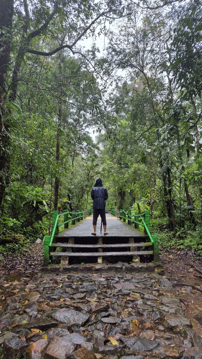 Affandi6116's tweet photo. Curug Cibereum + Telaga Biru ✅. 29/1 https://t.co/QfPCpjVyK5