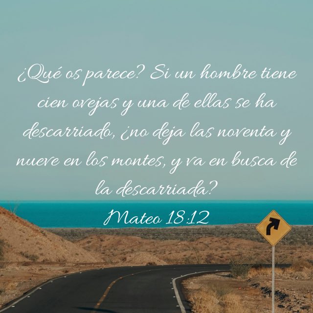Alejandro García (@alexandergara21) on Twitter photo 