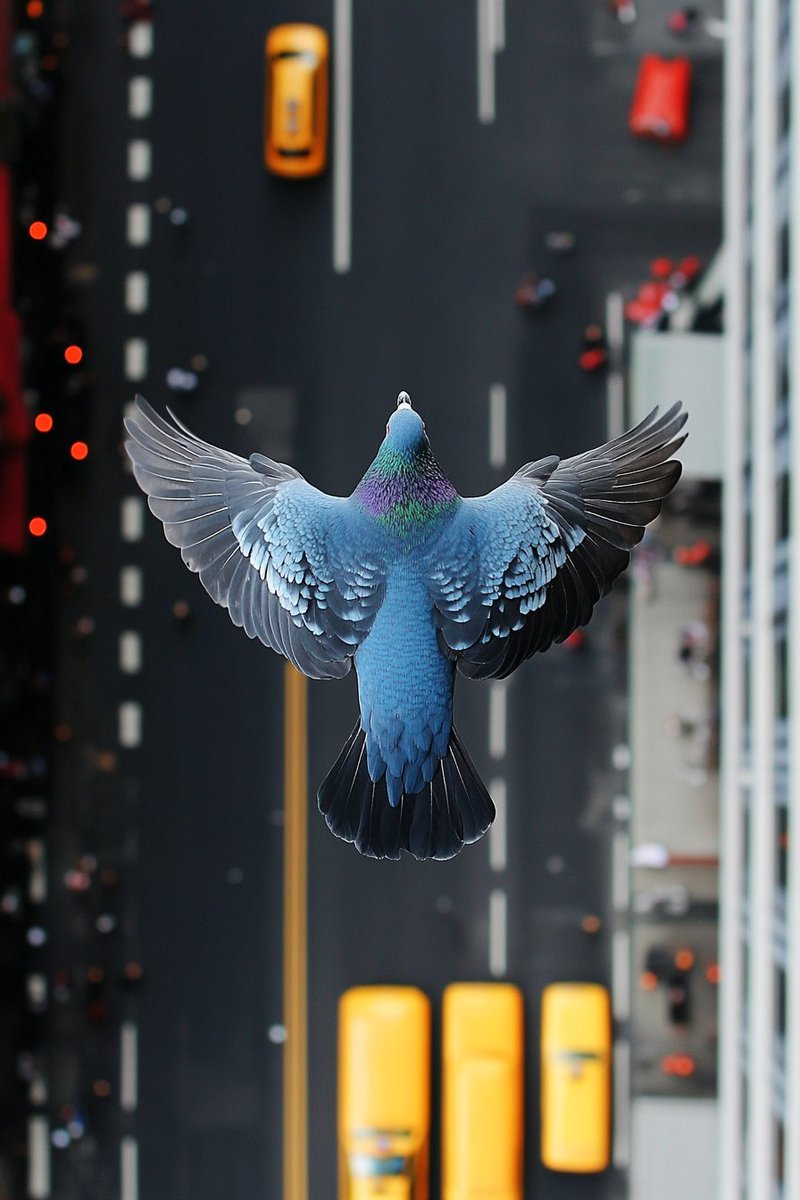 3722712159 banner