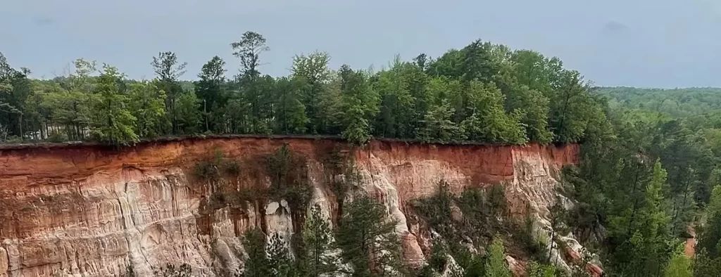 Providence Canyon State Park - Providence Canyon is nick-named the Little Grand Canyon. #gastateparks #georgiagrandcanyon #providencecanyon #providencecanyonstatepark Read more: buff.ly/4jD4vOe
