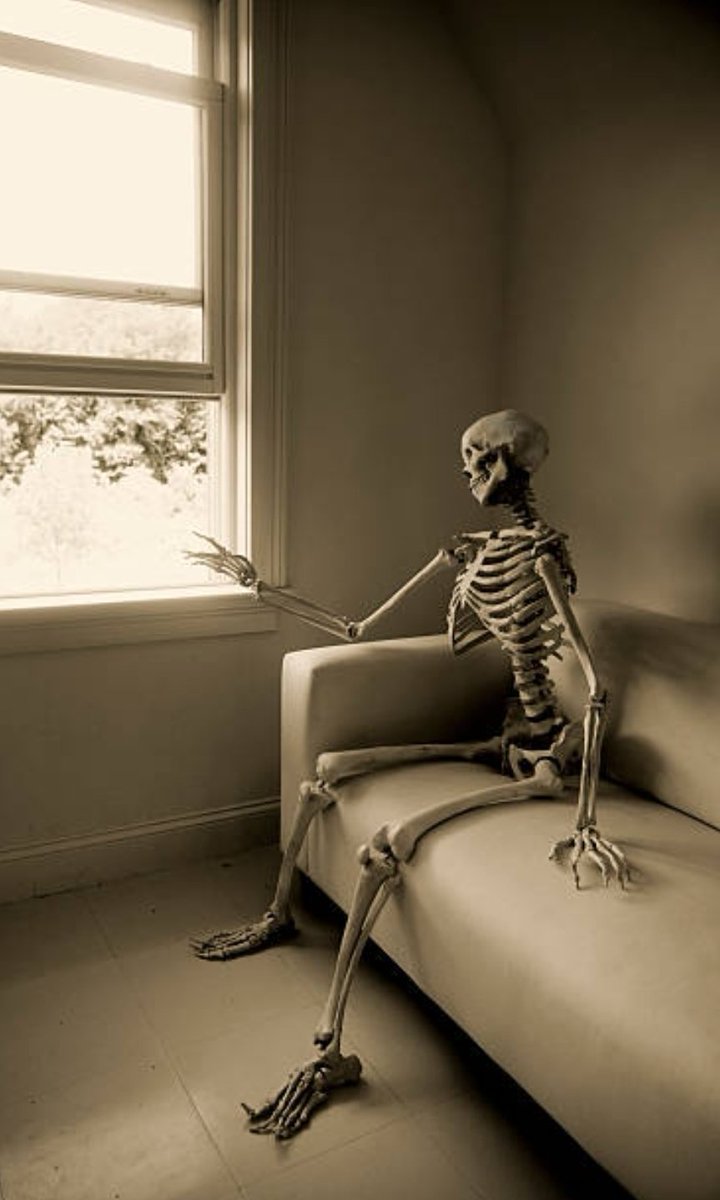Argyle fans waiting for a signing since the 9th January #pafc