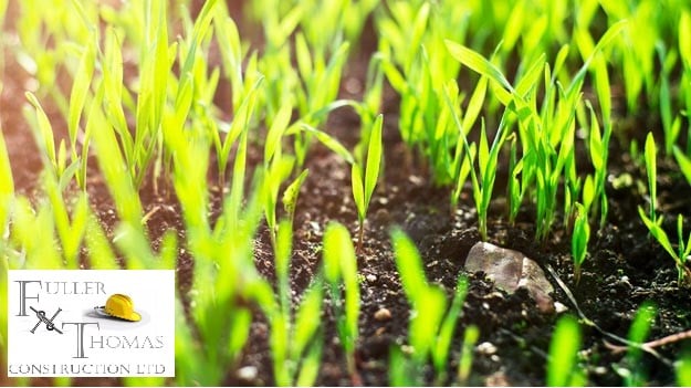 Remembering with Rain comes regrowth #fullerandthomas #loveconstruction #landscaping #pavings #groundworks #greenroofs #brownroofs #regrowth #rainrain #rainbringslife