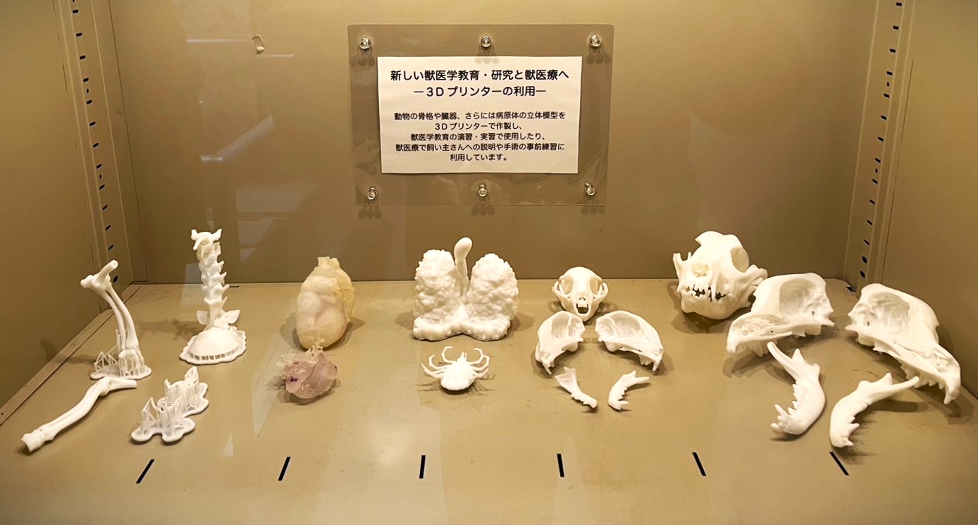 北大まとめ　獣医 2025年最新】北大まとめ 獣医の人気アイテム - メルカリ