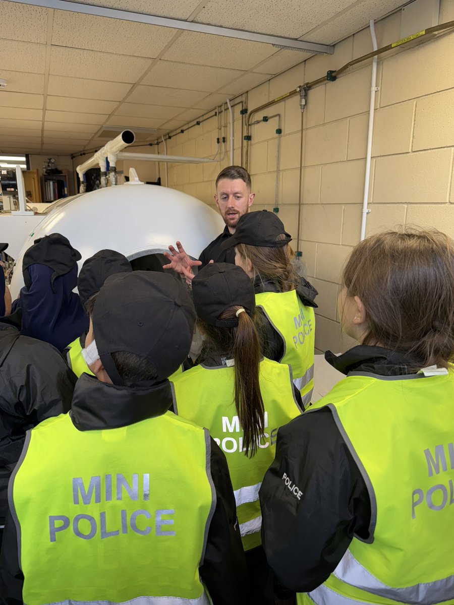 Hadrian Primary tweet media