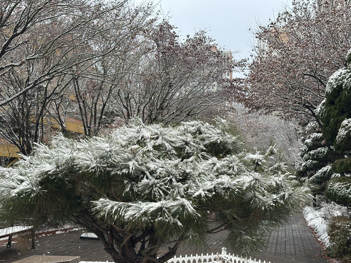 명절 잘 보내셨나요?
연휴가 길다 싶으면서도 벌써 목요일이네요!
시간 순삭 
모두 새해 복 많이 받으세요!🙂