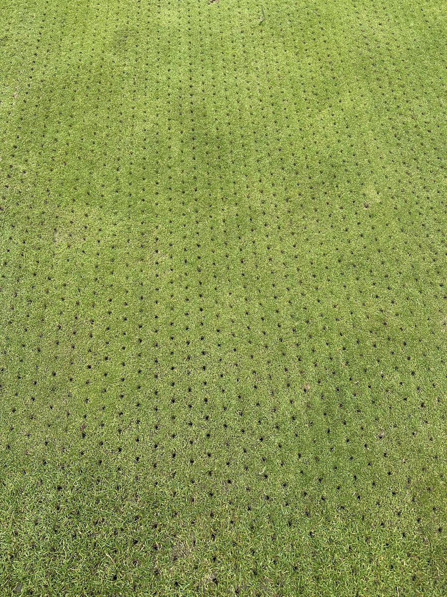 berto74cafc tweet media