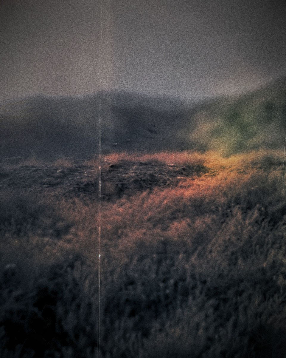 A moment of stillness, captured. 🖤 #DigitalArt