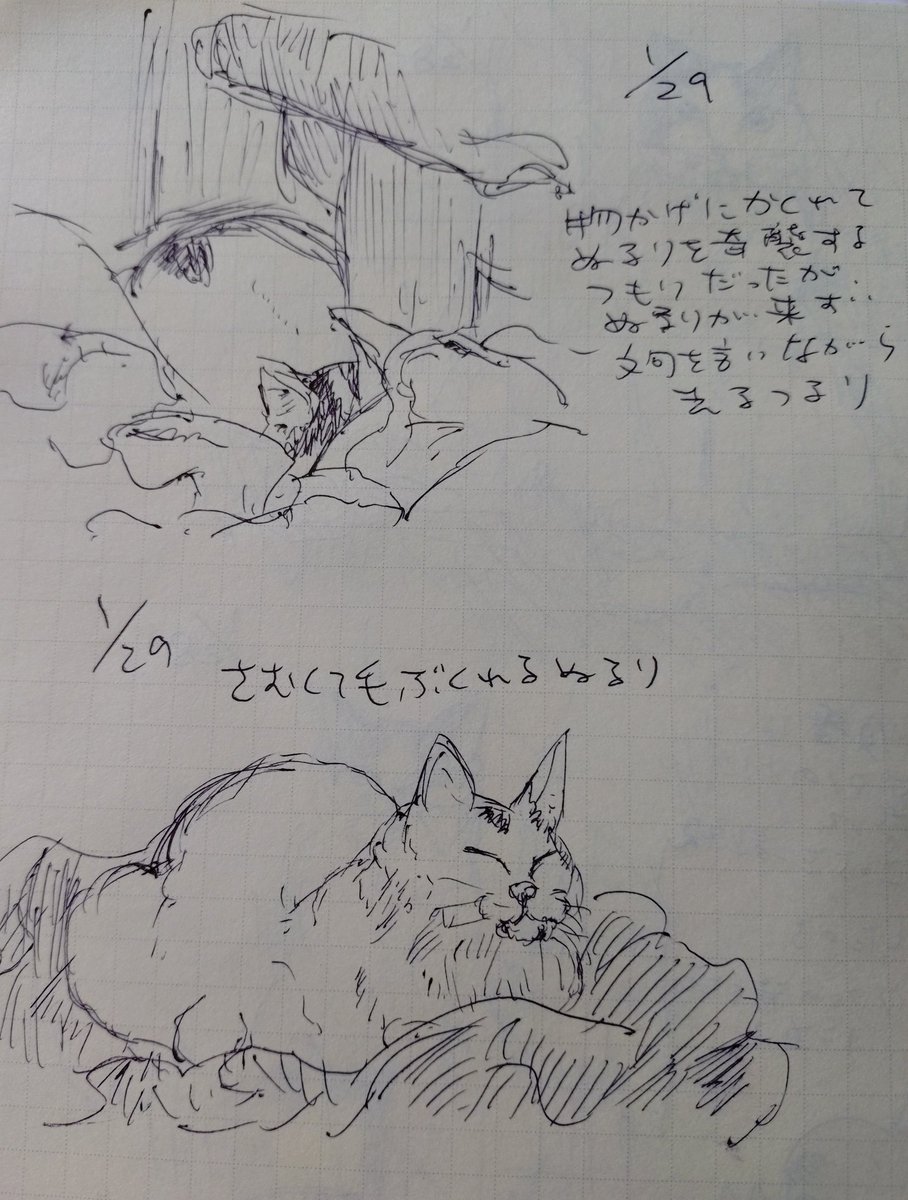 今日のつるぬるスケッチ
