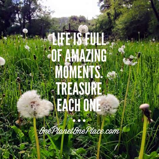 Tinker McAdams tweet media