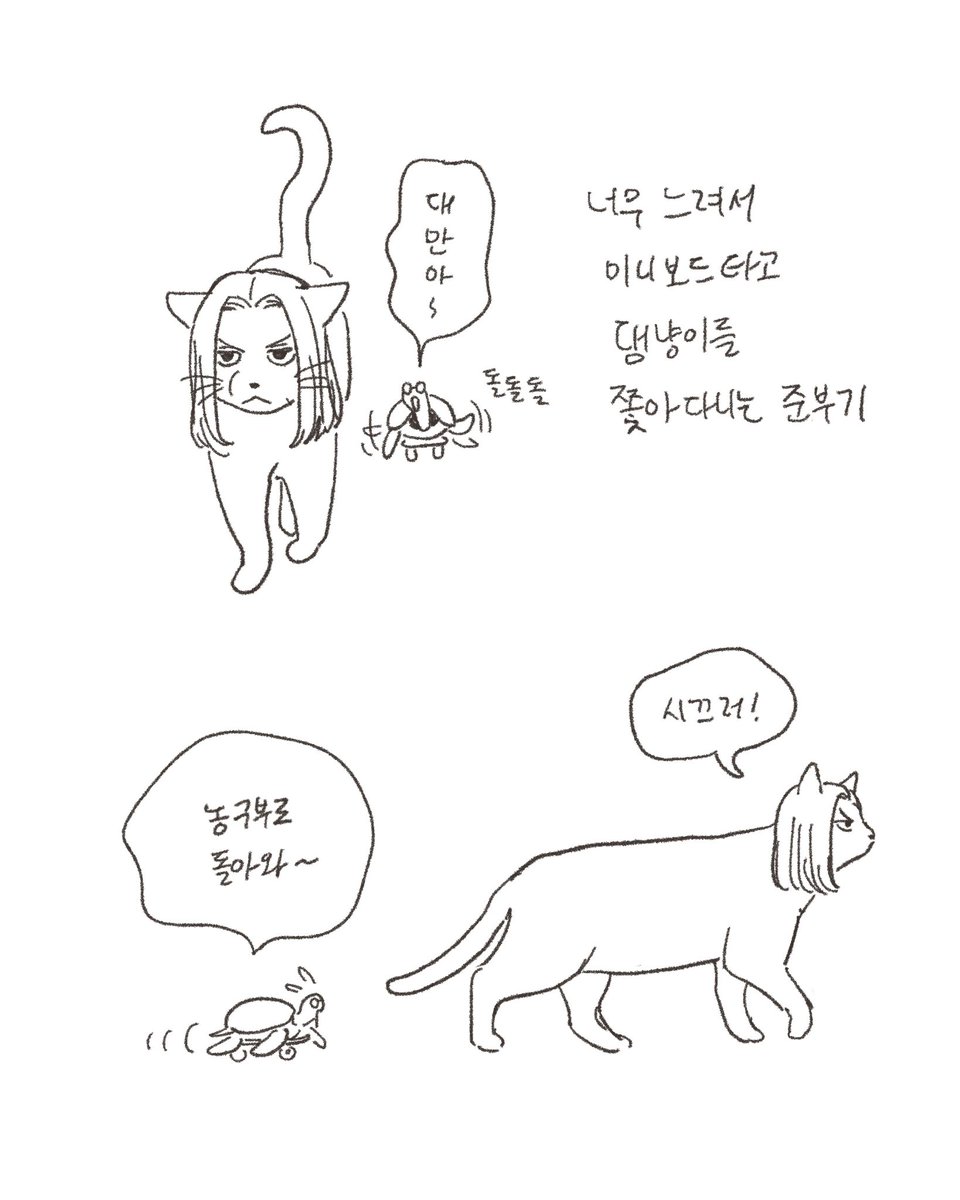 jagijudocat's tweet photo. 직알 고양이를 너무 좋아해서 쫓아다니는 거북인데 이거 너무 준댐같다고 생각함 https://t.co/hnd9quvvLp